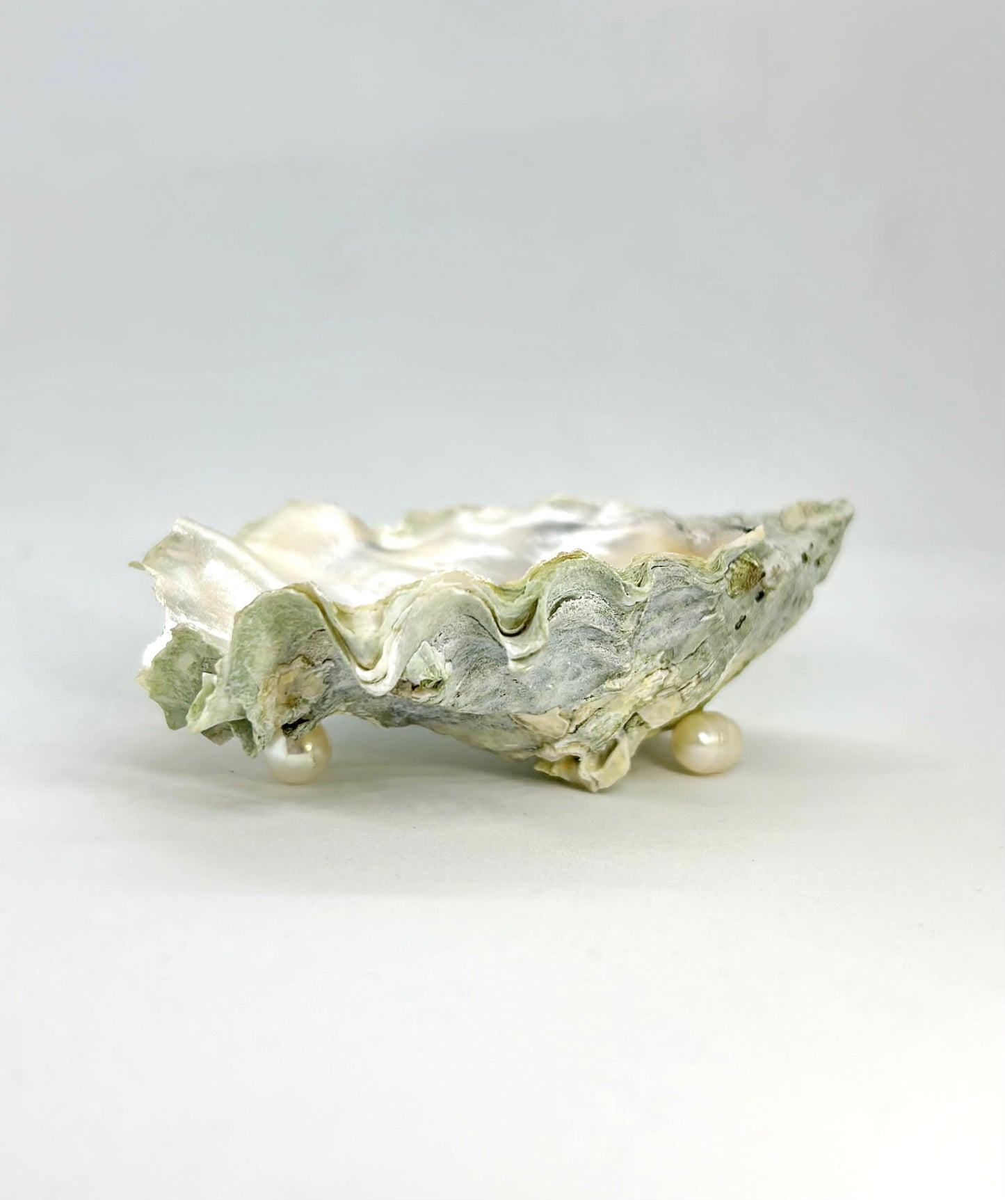 Oyster Jewelry Tray