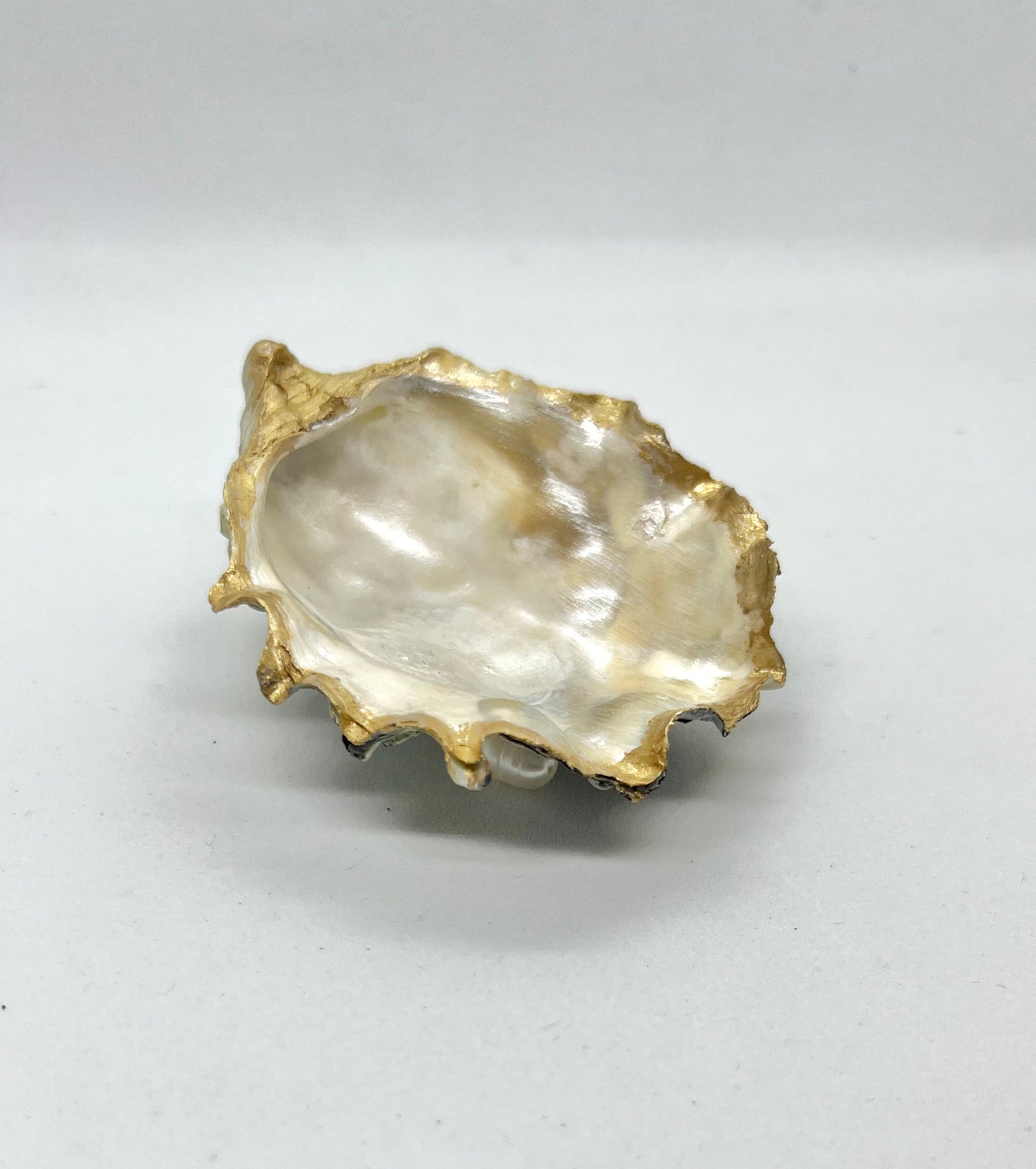 Oyster Jewelry Tray