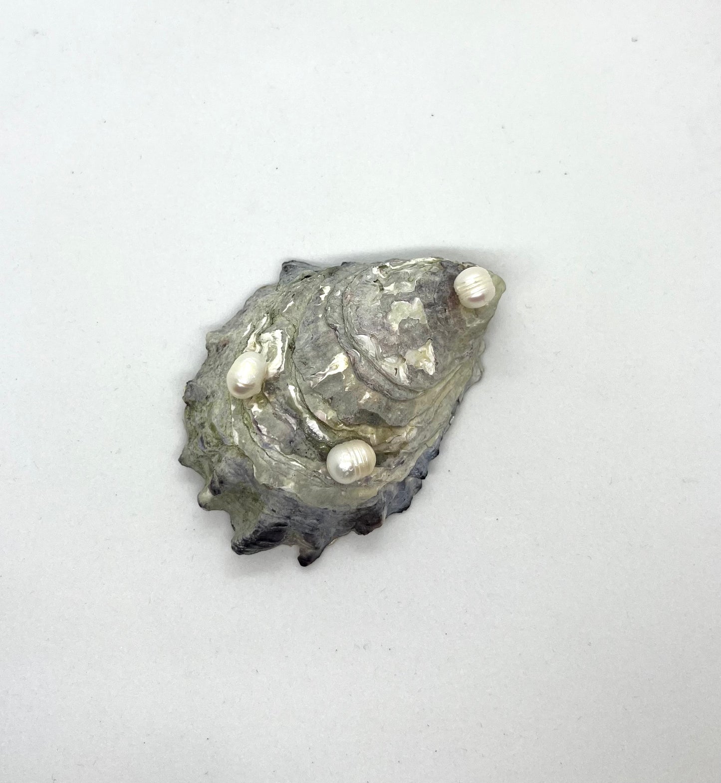 Oyster Jewelry Tray