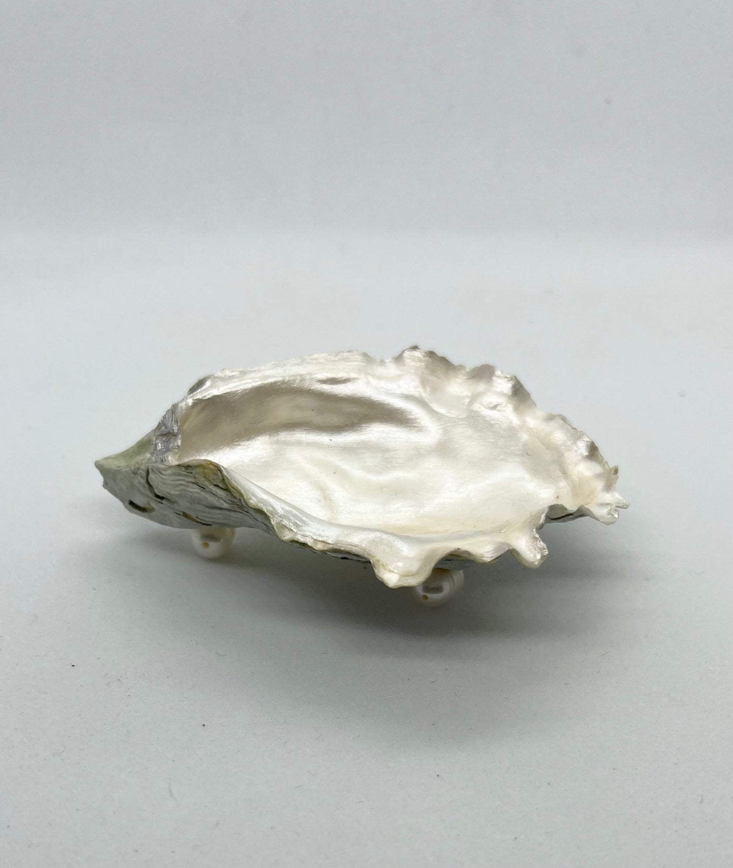 Oyster Jewelry Tray