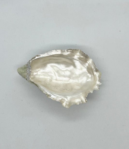 Oyster Jewelry Tray